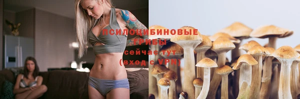 эйфоретик Алзамай