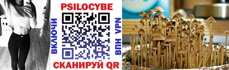 Галлюциногенные грибы GOLDEN TEACHER  купить закладку  Люберцы 