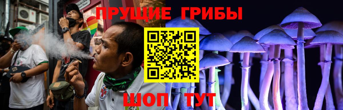 Галлюциногенные грибы GOLDEN TEACHER  Вход с VPN  Галлюциногенные грибы мухоморы  Люберцы 